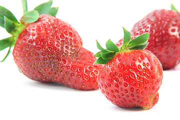 Image showing focus on right strawberry