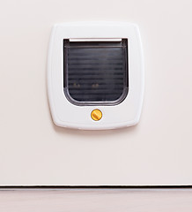 Image showing Inside view of a regular white cat flap, cat comming through