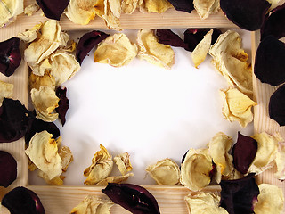 Image showing Rose Petal Frame