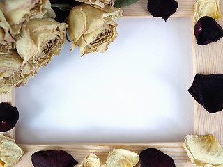 Image showing Rose with Petals Frame