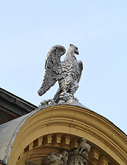 Image showing Phoenix Bird Szeged