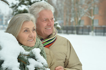 Image showing senior couple at winter outdoors