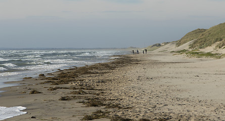 Image showing Coastline