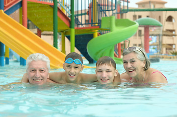 Image showing Grandparents with grandchildren in pool