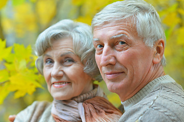 Image showing Happy senior couple 