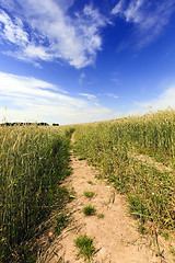 Image showing no paved road  