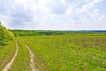 Image showing Rural summer landscape with soil road