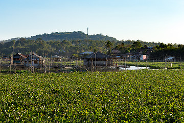 Image showing Fish farm at Lake Tondano