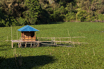 Image showing Fish farm at Lake Tondano