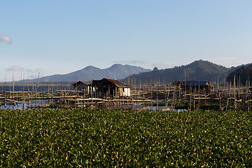 Image showing Fish farm at Lake Tondano