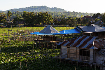 Image showing Fish farm at Lake Tondano