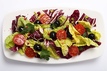 Image showing Salad with radicchio.