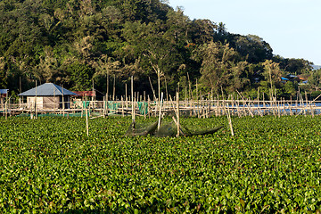 Image showing Fish farm at Lake Tondano