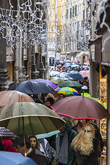 Image showing Crowd of Umbrellas in Venice