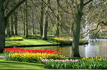 Image showing garden view in spring time