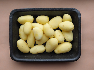 Image showing Potato vegetables in a tub