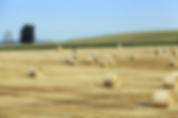 Image showing agriculture, not in focus 