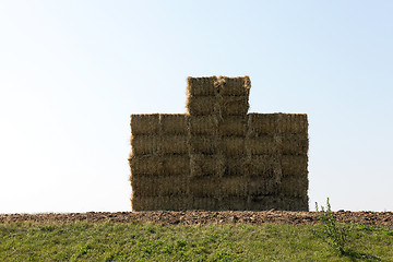 Image showing Stack of straw, wheat  