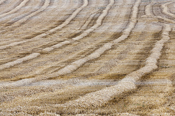 Image showing haystacks in a field of straw  