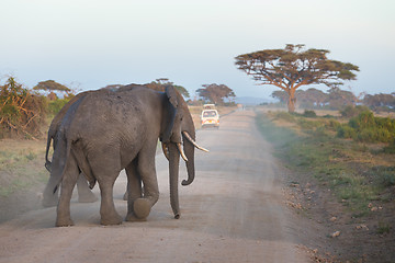 Image showing Family of elephants on dirt roadi in Amboseli