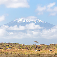 Image showing Kilimanjaro overlooking african savannah.