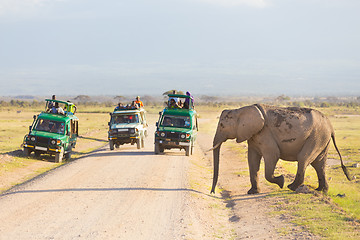 Image showing Elephantt crossing dirt roadi in Amboseli, Kenya.