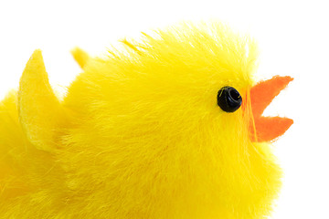 Image showing Single easter chick, isolated, close-up