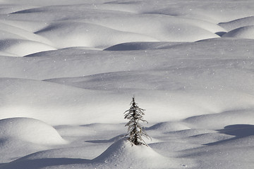 Image showing Mountain Snow Moguls