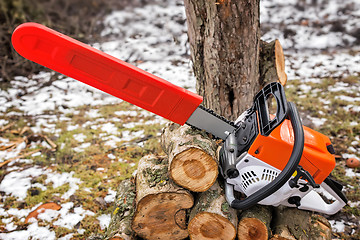 Image showing Chainsaw and cut tree branches.