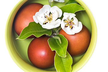 Image showing Easter eggs in a ceramic vase on a white background.