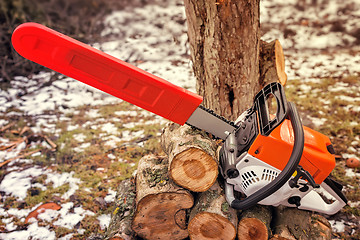 Image showing Chainsaw and cut tree branches.