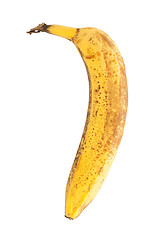 Image showing Over ripe banana, isolated