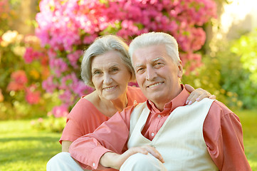 Image showing Senior couple  in summer park