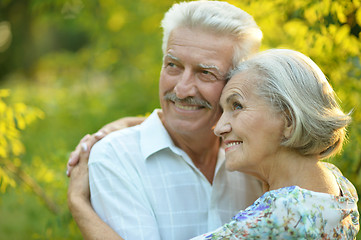Image showing mature couple   in summer park