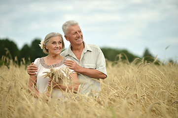 Image showing happy senior couple in summer