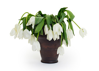 Image showing Vase full of droopy and dead flowers