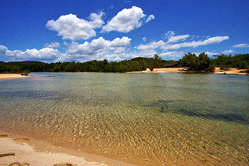 Image showing  relax and bush in madagascar coastline nosy iranja