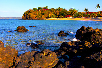 Image showing andilana beach seaweed in indian ocean madagascar mountain   san