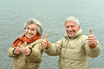 Image showing Happy senior couple 
