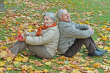 Image showing Couple in autumn park s