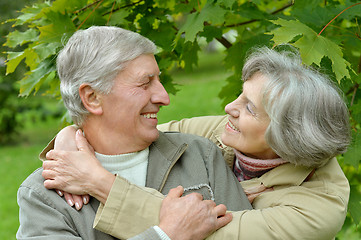 Image showing  Happy senior couple