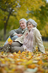 Image showing Mature married couple