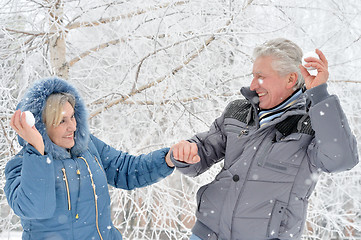 Image showing Portrait of elderly couple 