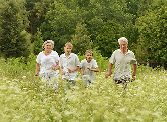 Image showing Family having picnic