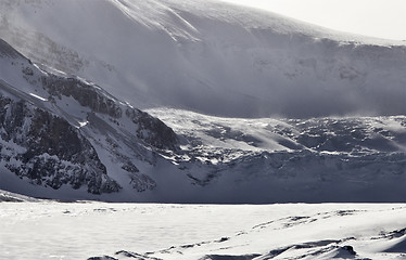 Image showing Columbia Icefields Alberta Rocky Mountains