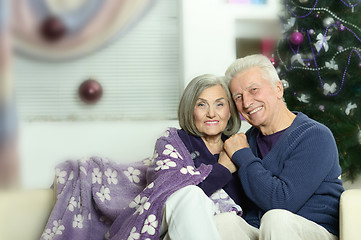 Image showing beautiful elderly couple 