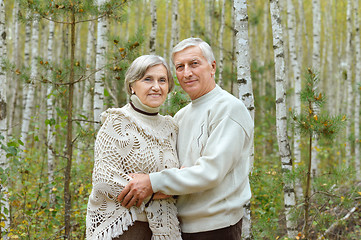 Image showing  Happy senior couple