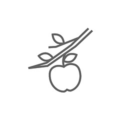 Image showing Apple harvest line icon.