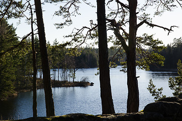 Image showing Small lake view in the woods