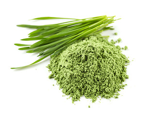 Image showing heap of green powder